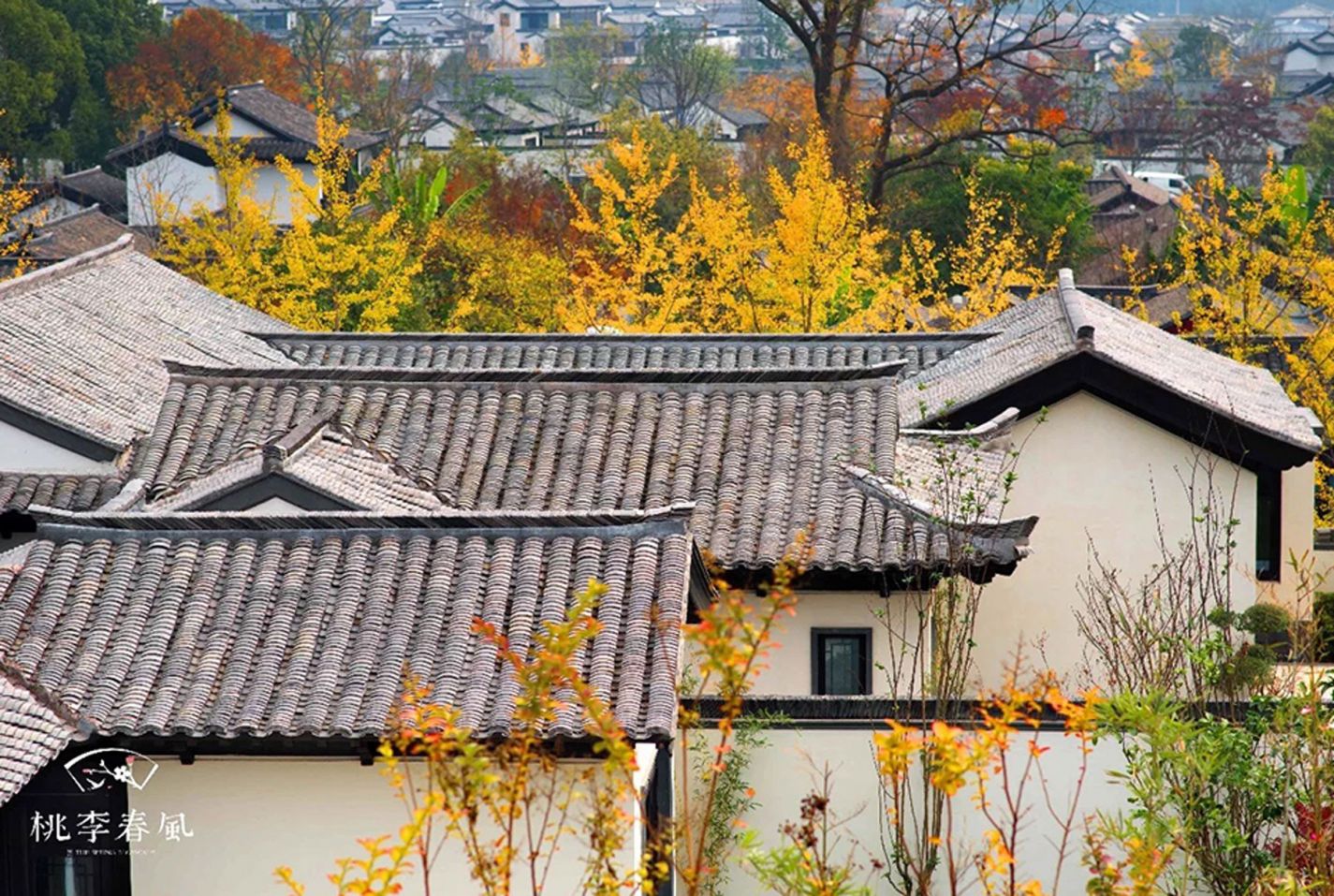 AGGAME·(中国区)集团官方网站